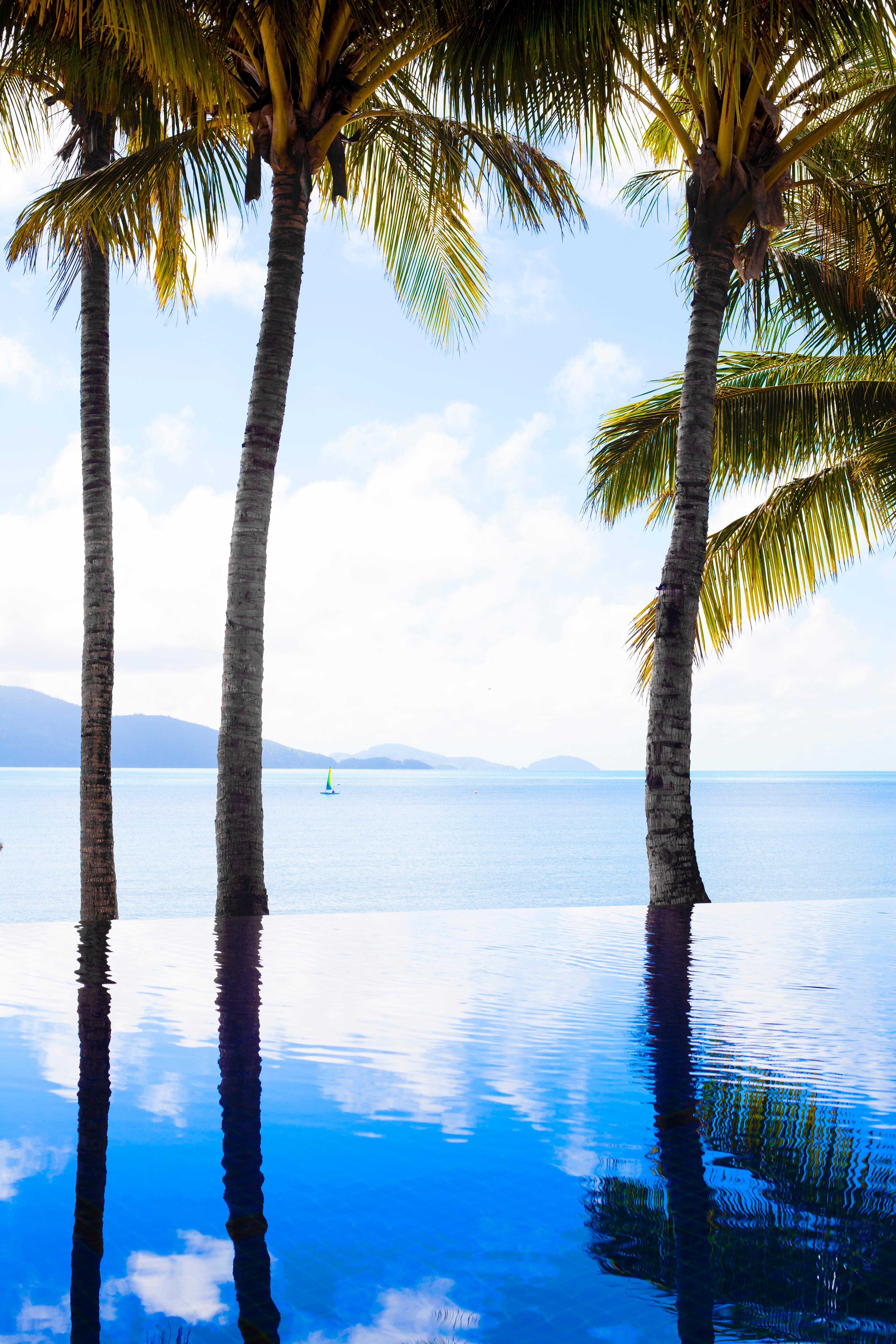 Beach Club (Adults Only) Hamilton Island Buitenkant foto